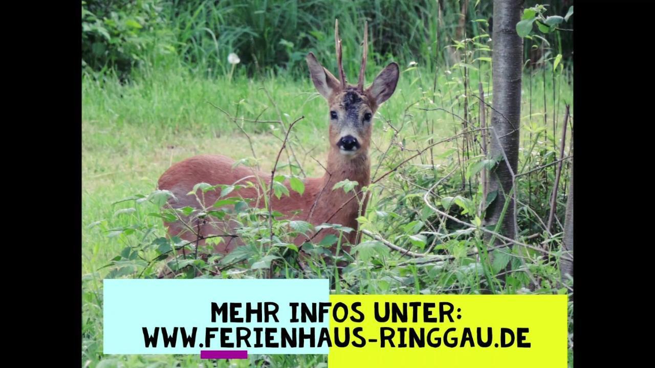 HAUS RINGGAU - Urlaub, Gemeinschaft und Erlebnis im Herzen von Deutschland Herleshausen Exterior foto